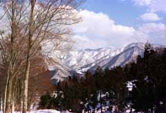 photo,material,free,landscape,picture,stock photo,Creative Commons,Snowy mountains in the afternoon, snow, mountain, tree, 