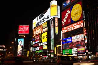 foto,tela,gratis,paisaje,fotografa,idea,La noche de una cosa de una hierba de pampas japonesa, Calle de nen, Illuminations, Luz, Pueblo de noche