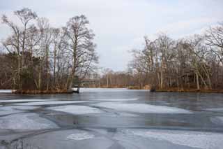 photo, la matire, libre, amnage, dcrivez, photo de la rserve,Une surface d'un lac de geler, Glace, lac, Lac Onuma, Geler