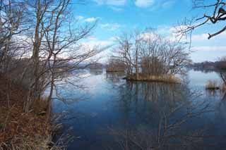 Foto, materiell, befreit, Landschaft, Bild, hat Foto auf Lager,Onumakoen Winterszene, Eis, See, See Onuma, Das Frieren