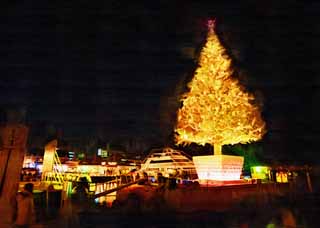 illust, matire, libre, paysage, image, le tableau, crayon de la couleur, colorie, en tirant,Un sapin de Nol de Hakodate, Sapin de Nol, X'mas, nuit sacre, port