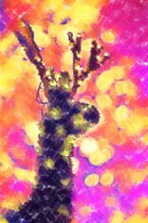 illust, materiale, libero panorama, ritratto dipinto, matita di colore disegna a pastello, disegnando,Luminarie di un cervo, Luminarie, Albero di Natale, Luce, porto