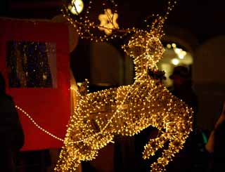 Foto, materieel, vrij, landschap, schilderstuk, bevoorraden foto,Verluchtingen van een ree, Illumineringen, Kerst boom, Maak, Rijtuig