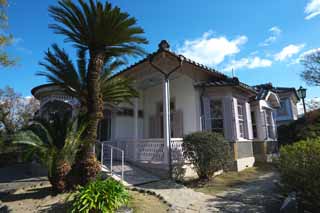 foto,tela,gratis,paisaje,fotografa,idea,Paseante casa vieja, Edificio historia de vaqueros -style, Casa, Ventana, Cycad