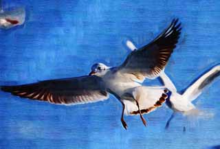illustration,material,free,landscape,picture,painting,color pencil,crayon,drawing,Gliding of a gull, gull, , , wing