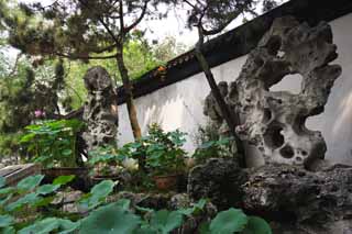 photo, la matire, libre, amnage, dcrivez, photo de la rserve,Un calcaire dform de Zhuozhengyuan, pierre, , patrimoine de l'humanit, jardin