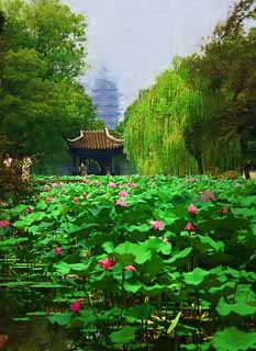 illust, matire, libre, paysage, image, le tableau, crayon de la couleur, colorie, en tirant,Zhuozhengyuan, tang, lotus, , jardin