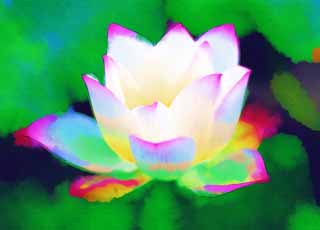 illust, matire, libre, paysage, image, le tableau, crayon de la couleur, colorie, en tirant,Un lotus de Zhuozhengyuan, ptale, lotus, , jardin