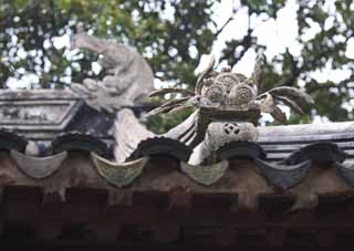 fotografia, materiale, libero il panorama, dipinga, fotografia di scorta,Una decorazione di tetto di Enkodo di Zhuozhengyuan, tegola, tetto, eredit di mondo, giardino