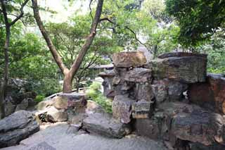 foto,tela,gratis,paisaje,fotografa,idea,Piedras de - de cimentacin con pilotes de Zhuozhengyuan, Piedra, Roca, Herencia de mundo, Jardn