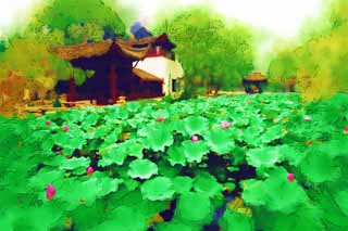 illust, matire, libre, paysage, image, le tableau, crayon de la couleur, colorie, en tirant,Hasuike de Zhuozhengyuan, tang, lotus, , jardin