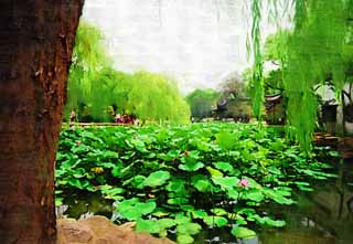 Illust, materieel, vrij, landschap, schilderstuk, schilderstuk, kleuren potlood, crayon, werkje,Hasuike van Zhuozhengyuan, Waterplas, Lotus, , Tuin