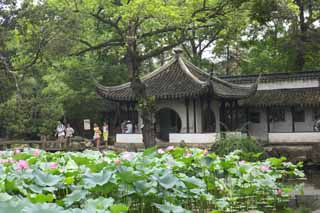 fotografia, materiale, libero il panorama, dipinga, fotografia di scorta,L'architettura di Zhuozhengyuan, Architettura, cerchio, Hasuike, giardino