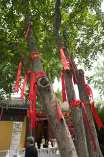 photo, la matire, libre, amnage, dcrivez, photo de la rserve,La fin du souhait de la montagne dans le temple hivernal, Prire, Bodhisattva, Rouge, Bouddhisme