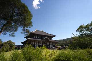 Foto, materieel, vrij, landschap, schilderstuk, bevoorraden foto,De Todai-ji Temple Hall van de Great Buddha, Groot standbeeld van De boeddha, Van hout gebouw, Boeddhisme, Tempel