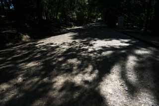 fotografia, materiale, libero il panorama, dipinga, fotografia di scorta,Ombra di un modo di albero, L'ombra di un albero, Il sole, L'ombra, albero