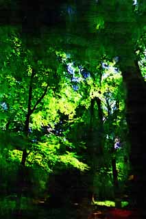 illust, materiell, befreit, Landschaft, Bild, Gemlde, Farbbleistift, Wachsmalstift, Zeichnung,,Grn, um zu strmen, Blatt, Das frische Grn, Ich bin hell, Wald