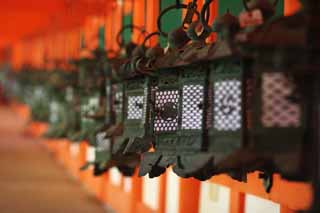 , , , , ,  .,Kasuga Taisha Shrine , Shinto, Shinto shrine,    ,  