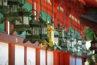 ,,, ,,,  Kasuga  Taisha  , .,  .,   .,   .  