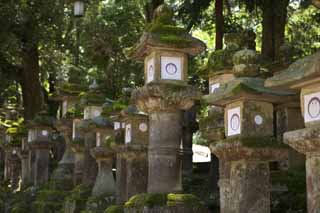 photo,material,free,landscape,picture,stock photo,Creative Commons,The row of stone lantern baskets, Illumination, stone lantern basket, The shade, Moss