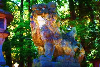 illust, matire, libre, paysage, image, le tableau, crayon de la couleur, colorie, en tirant,Kasuga Taisha paire de Temple de chiens du gardien de pierre, paire de chiens du gardien de pierre, chef, statue de pierre, L'ombre