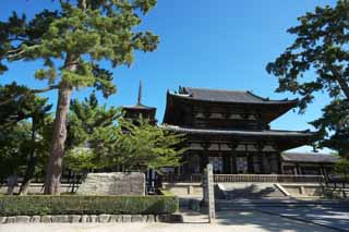 fotografia, materiale, libero il panorama, dipinga, fotografia di scorta,Tempio di Horyu-ji, Buddismo, il cancello costru tra il cancello principale e la casa principale dell'architettura palazzo-disegnata di periodo di Fujiwara, Cinque pagoda di Storeyed, Immagine buddista