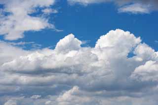 Foto, materieel, vrij, landschap, schilderstuk, bevoorraden foto,Een wolk van de zomer, Blauwe lucht, Thunderhead, In de zomer, Zonnelicht