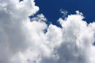 fotografia, materiale, libero il panorama, dipinga, fotografia di scorta,Una nube dell'estate, cielo blu, thunderhead, Di estate, Luce del sole