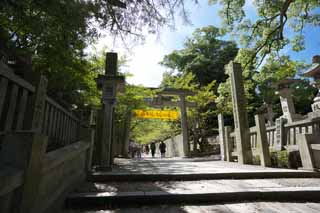 fotografia, material, livra, ajardine, imagine, proveja fotografia,Kompira-san aproximao de Santurio para um santurio, Santurio de Xintosmo templo budista, torii, apedreje escada, Xintosmo