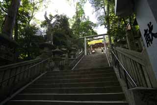 fotografia, materiale, libero il panorama, dipinga, fotografia di scorta,Kompira-san approccio di Sacrario ad un sacrario, Sacrario scintoista tempio buddista, torii, prenda a sassate scalinata, Scintoismo