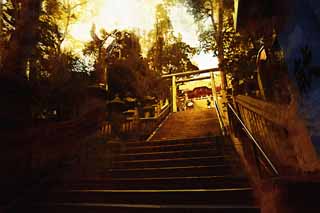 illust, matire, libre, paysage, image, le tableau, crayon de la couleur, colorie, en tirant,Kompira-san approche de Temple  un temple, Temple shintoste temple bouddhiste, torii, escalier de pierre, Shintosme