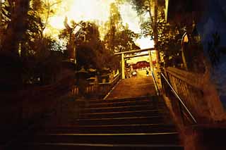 illustration,material,free,landscape,picture,painting,color pencil,crayon,drawing,Kompira-san Shrine approach to a shrine, Shinto shrine Buddhist temple, torii, stone stairway, Shinto