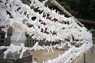 photo, la matire, libre, amnage, dcrivez, photo de la rserve,Kompira-san Temple fin de terrain sacre, Temple shintoste temple bouddhiste, terrain sacr, , Shintosme