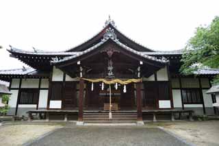 photo,material,free,landscape,picture,stock photo,Creative Commons,Bath Shrine, Shinto shrine Buddhist temple, roof, Shinto straw festoon, 