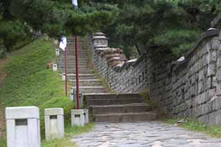 foto,tela,gratis,paisaje,fotografa,idea,La pared de castillo de Hwaseong Fortress, Castillo, Pavimento de piedra, Azulejo, Pared de castillo