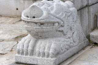 foto,tela,gratis,paisaje,fotografa,idea,Una estatua de piedra de Kunjongjon, Estatua de piedra, Un animal, Escaleras, Escultura