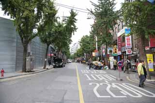 photo,material,free,landscape,picture,stock photo,Creative Commons,A way of Seoul, Keep to the right of the road, restaurant, roadside tree, ginkgo