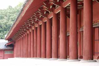 fotografia, materiale, libero il panorama, dipinga, fotografia di scorta,La fila di pilastri di Tadashi, Sacrario di Jongmyo, Servizio religioso, Prima l'imperatore, il Tempio Ancestrale ed Imperiale