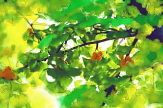 illustration,material,free,landscape,picture,painting,color pencil,crayon,drawing,The ginkgo which grows, ginkgo, , , 