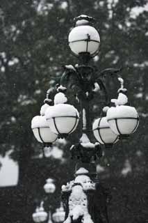 Foto, materieel, vrij, landschap, schilderstuk, bevoorraden foto,Lichte sneeuw dubbele brug, Lantaarn, Paleis, Lamp, Snowfall