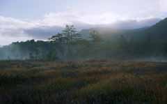 fotografia, materiale, libero il panorama, dipinga, fotografia di scorta,Terreno paludoso fosco, cielo, albero, montagna, nebbia