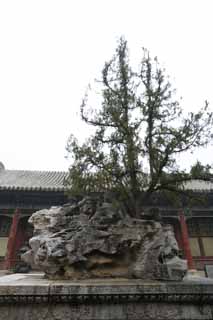 photo,material,free,landscape,picture,stock photo,Creative Commons,Taihu Lake stone's Summer Palace, Odd stone, Rocks, Ornament, Hole