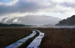 fotografia, materiale, libero il panorama, dipinga, fotografia di scorta,Rifiuto contro l'ultima fermata, cielo, albero, montagna, nebbia