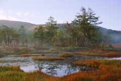 Foto, materieel, vrij, landschap, schilderstuk, bevoorraden foto,Herfst van de marshland, Waterplas, Boom, Berg, Mist