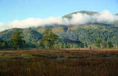 Foto, materiell, befreit, Landschaft, Bild, hat Foto auf Lager,Mt. Shibutsu und Wolke, Wolke, Baum, Berg, Nebel