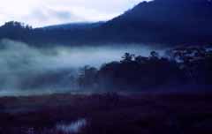 photo,material,free,landscape,picture,stock photo,Creative Commons,Wafting indigo, sky, tree, mountain, fog