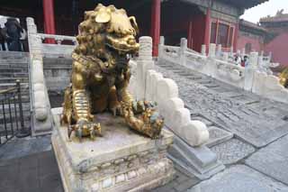 photo,material,free,landscape,picture,stock photo,Creative Commons,Forbidden City gold painted bronze lion statues, Lion, Female, Palace, Cradle