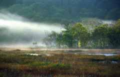 Foto, materieel, vrij, landschap, schilderstuk, bevoorraden foto,Leven met de mist, Waterplas, Boom, Berg, Mist