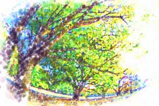 illust, materiale, libero panorama, ritratto dipinto, matita di colore disegna a pastello, disegnando,Autunno Park, Cielo blu, Grass, Alberi, Foglie di autunno