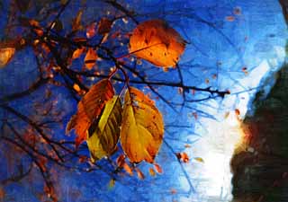 Illust, materieel, vrij, landschap, schilderstuk, schilderstuk, kleuren potlood, crayon, werkje,Cherry herfst bladeren, Blauwe lucht, Aftakking, Zon, Herfst laat